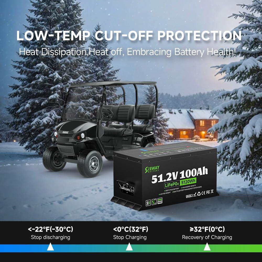 Sisway 51.2V 100Ah LifePO4 Lithium ion Golf Cart Battery 200A BMS-Exclusize
