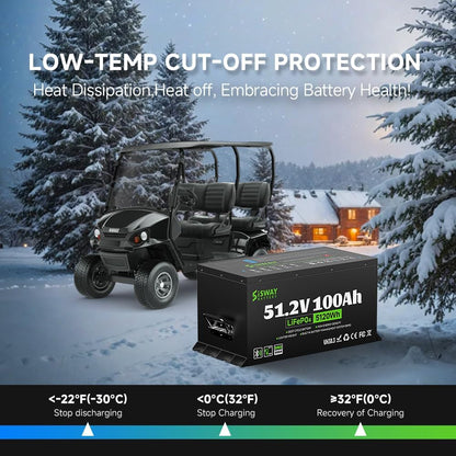 Sisway 51.2V 100Ah LifePO4 Lithium ion Golf Cart Battery 200A BMS-Exclusize