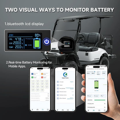 Sisway 51.2V 100Ah LifePO4 Lithium ion Golf Cart Battery 200A BMS-Exclusize