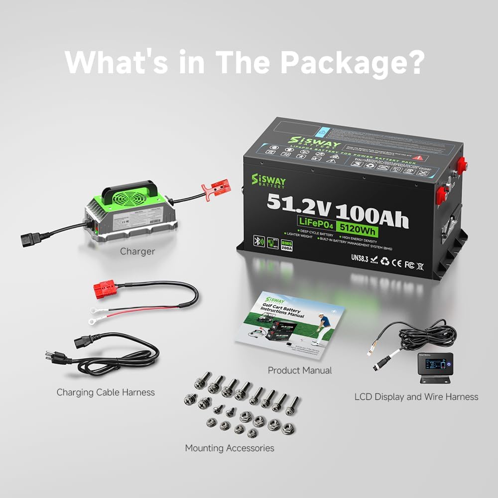 Sisway 51.2V 100Ah LifePO4 Lithium ion Golf Cart Battery 200A BMS-Exclusize